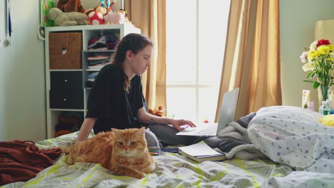 一个十几岁的女孩，大学生，坐在房间的床上抚摸着猫，用笔记本电脑工作。