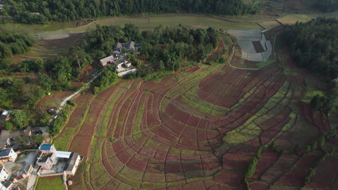 乡村田园盆地耕地