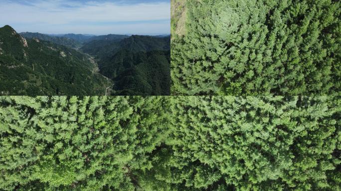 4K航拍太行山驼梁景区