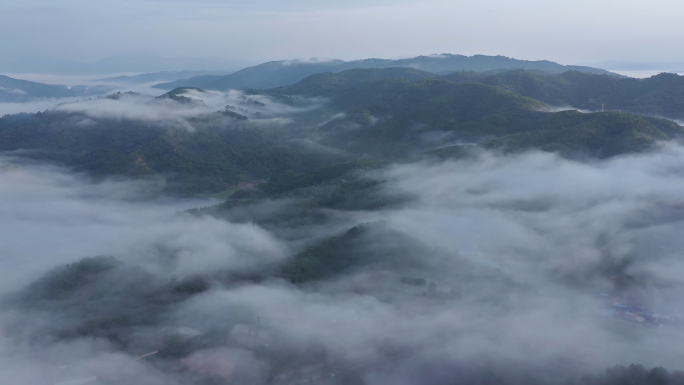 【原创】4K普洱茶山云海航拍