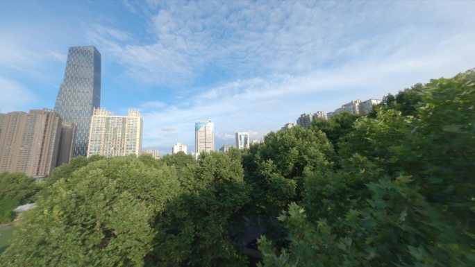 【fpv】武汉解放公园看武昌穿越机航拍