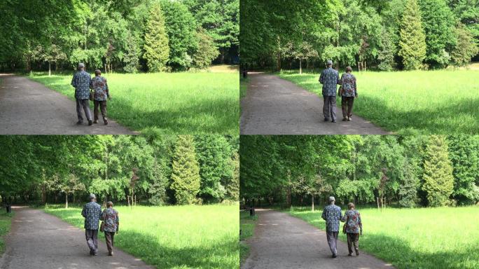 公园里的老年夫妇老年夫妻公园散步手拉手老