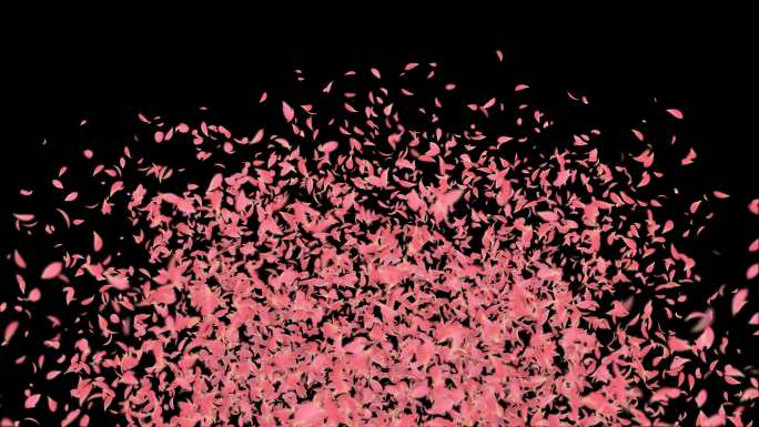 4K粉色古风花瓣炸开转场-带透明通道