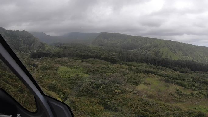 从直升机鸟瞰热带景观