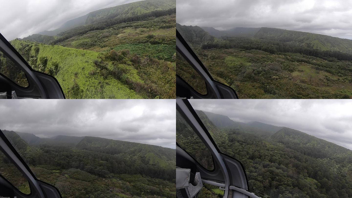 从直升机鸟瞰热带景观