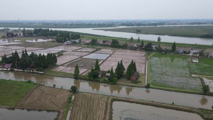 水稻田园风光新农村鱼米之乡河流树森林湖南