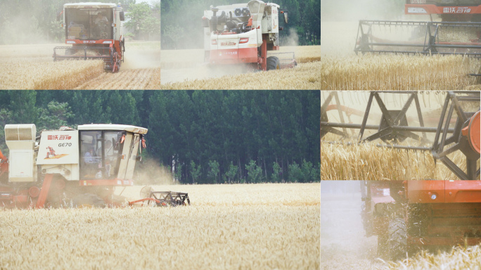 三农素材大型收割机收麦子