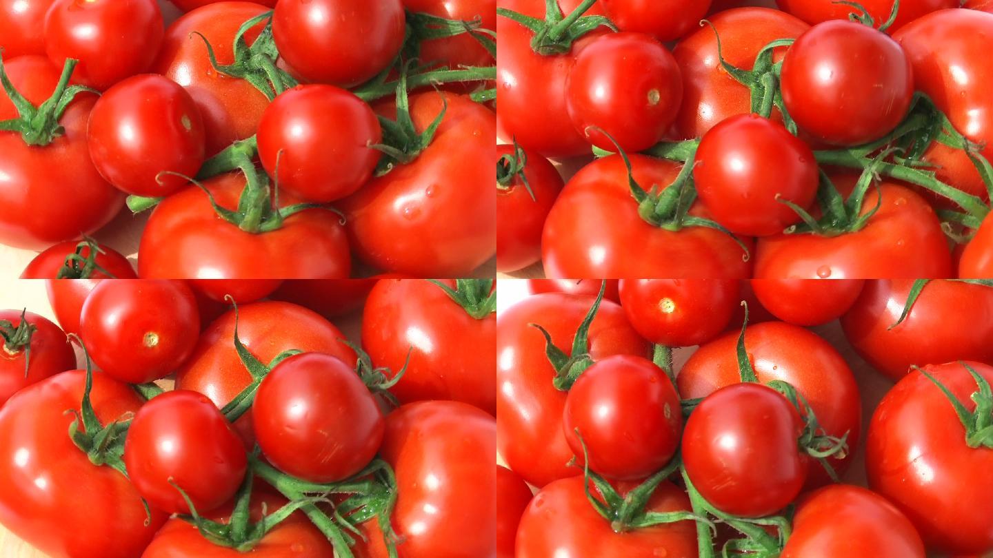 西红柿西红柿