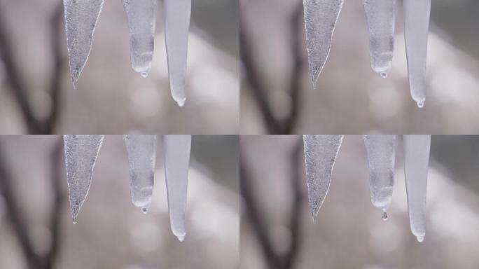 慢镜头：山上融化的冰柱/特写镜头