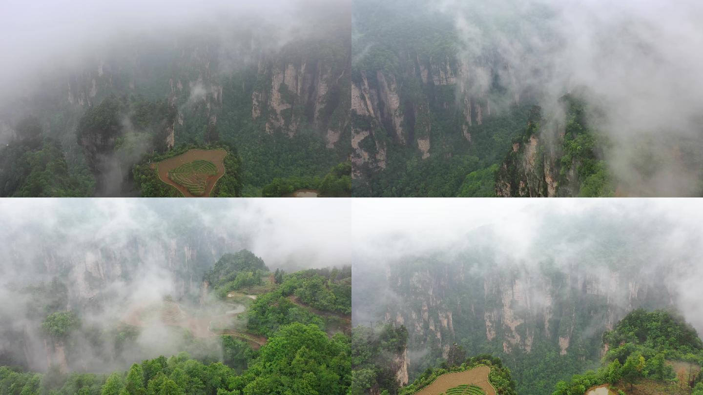 4K航拍云雾中的张家界空中田园景观