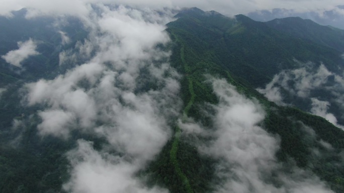 丽水白云山