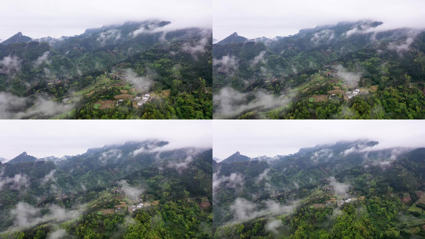 贵川交界处的云雾缭绕（八）