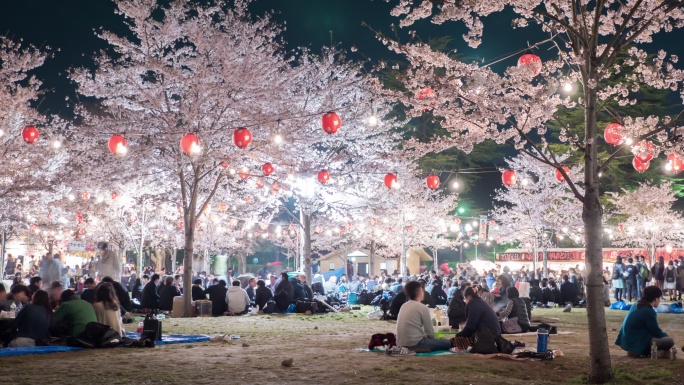 4k：人们在仙台公园欣赏樱花