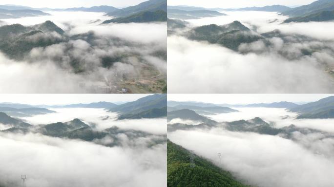 原始森林-航拍森林-大自然森林云雾