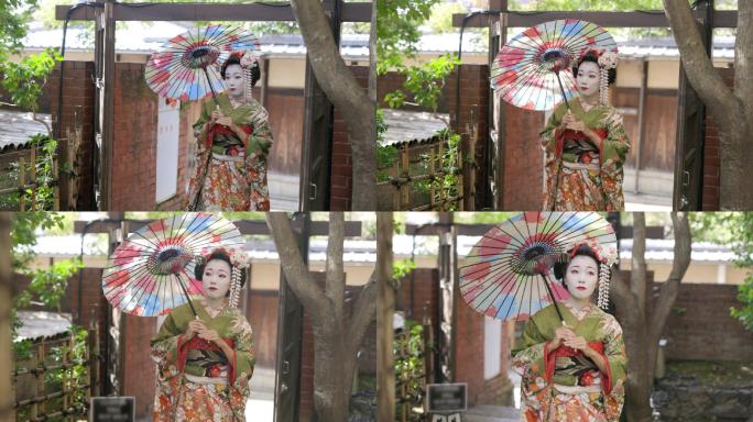 Maiko（艺妓在训练）在京都Gion的狭窄人行道上行走