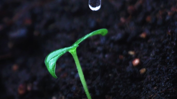 水滋润土地土壤珠水滴滴落