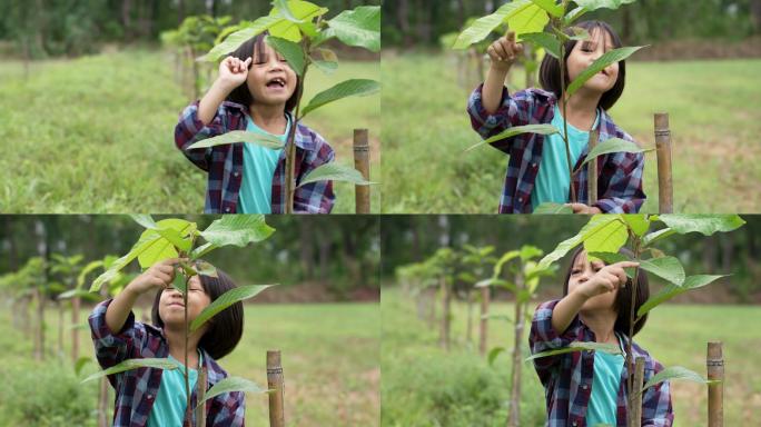 亚洲母女植树保护环境的小女孩