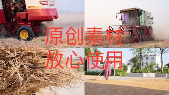 【4K高清原创】收麦 乡村 农村 小麦