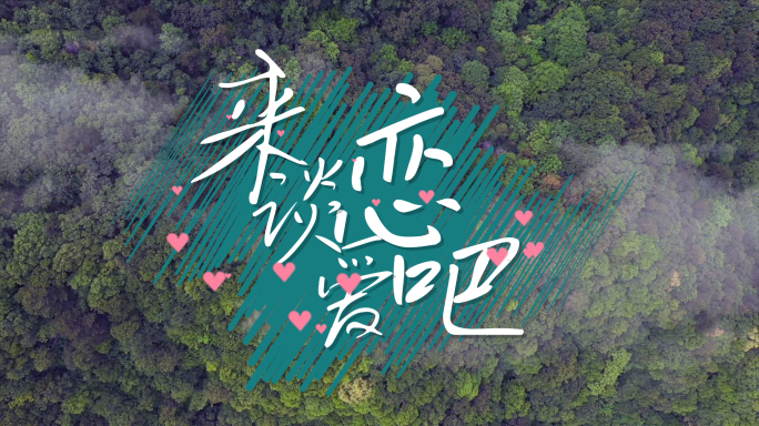 【原创4K】真人秀白色清新简洁综艺花字