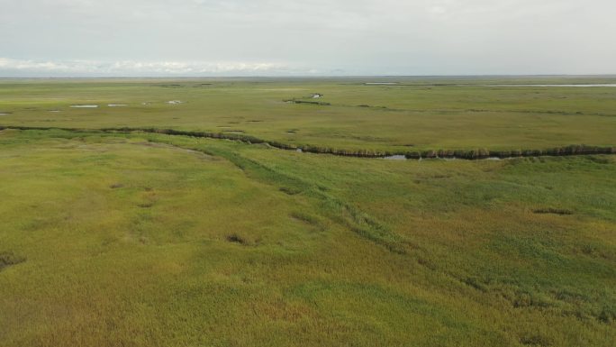 原创 新疆博斯腾湖草原湿地孔雀河自然景观