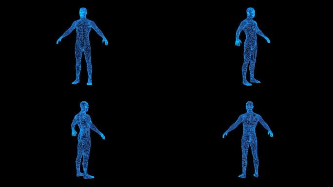 全息科技蓝色线框人体动画带通道