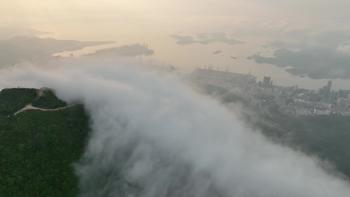 深圳梧桐山云海 日出 航拍