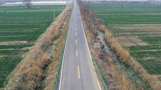 界碑 田间柏油路 小路 空旷 麦田