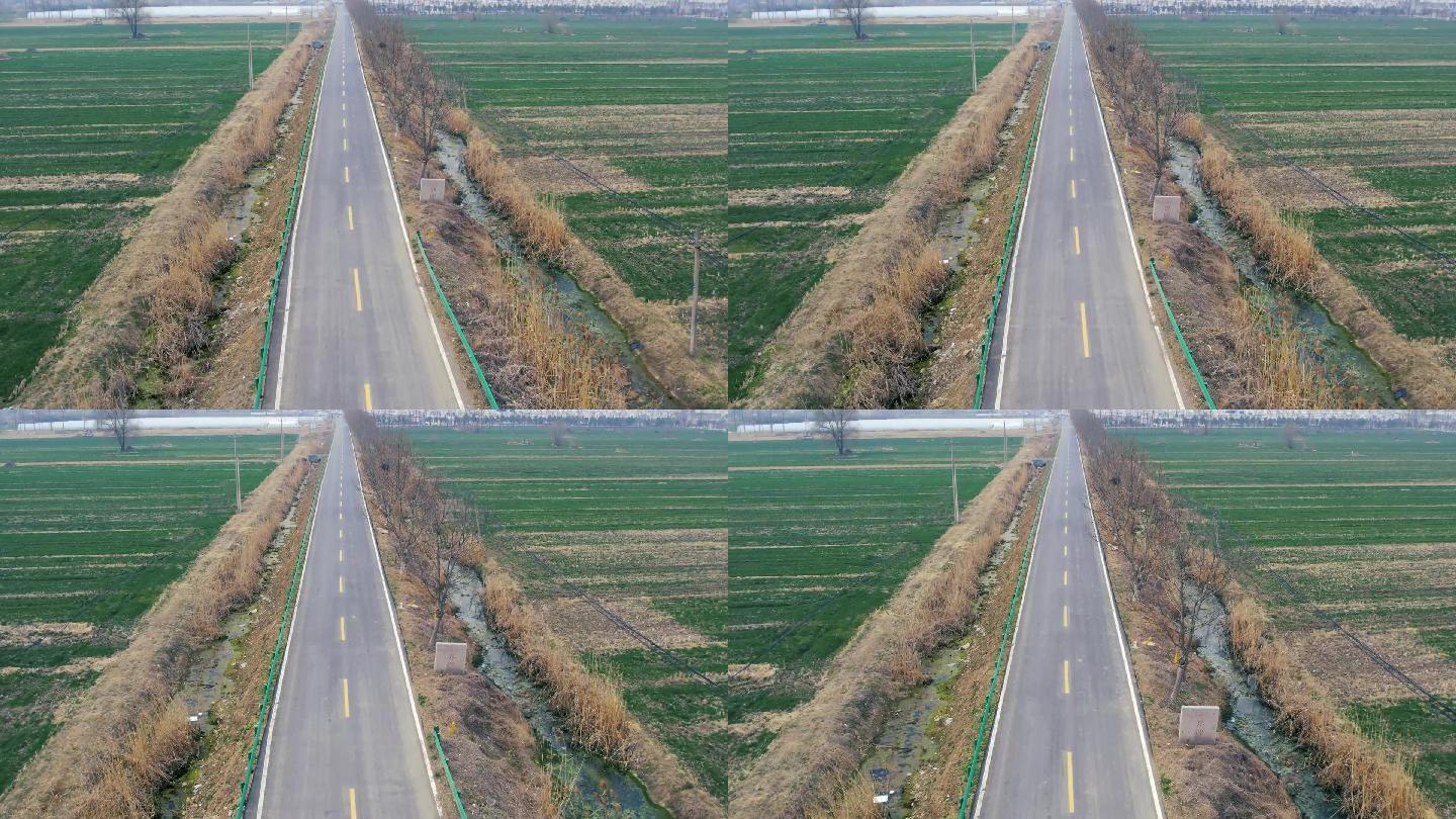 界碑 田间柏油路 小路 空旷 麦田