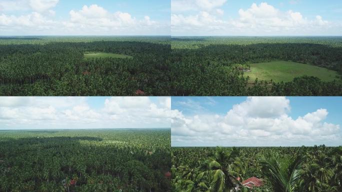 斯里兰卡椰林明媚大气航拍风光