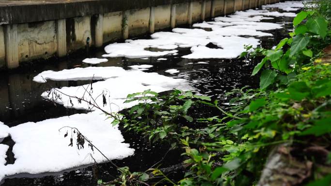 污水脏污、起泡河道污染环境污染