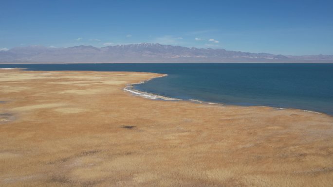 原创 青海小柴旦湖湿地湖泊自然风光航拍