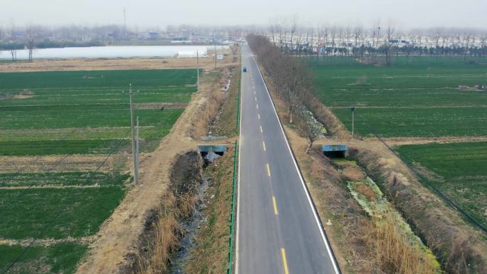 带界碑 田间柏油路 小路 空旷 麦田