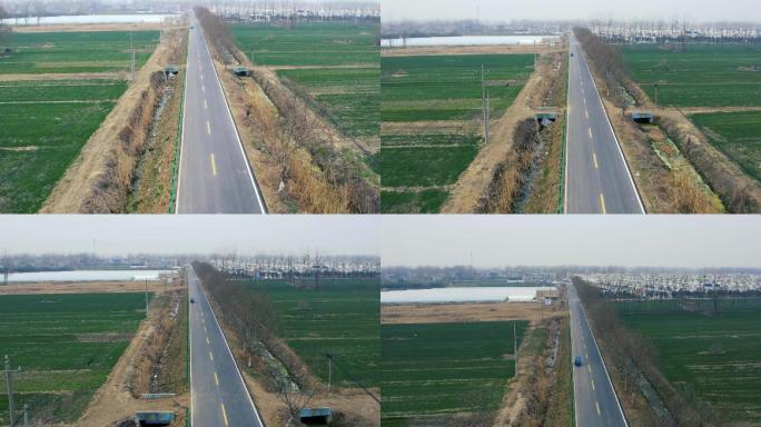 带界碑 田间柏油路 小路 空旷 麦田