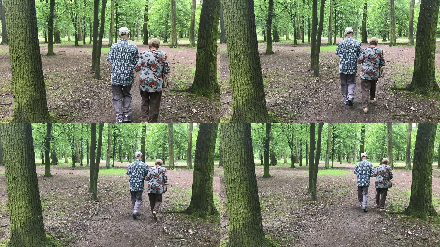 公园里的老年夫妇相互搀扶老人