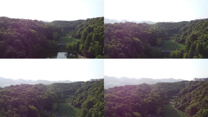 重庆森林航拍