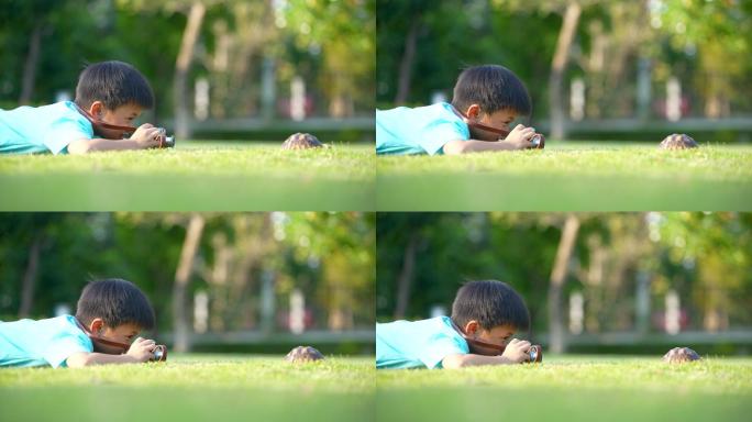 亚洲小孩和他的宠物乌龟玩耍。友谊的概念