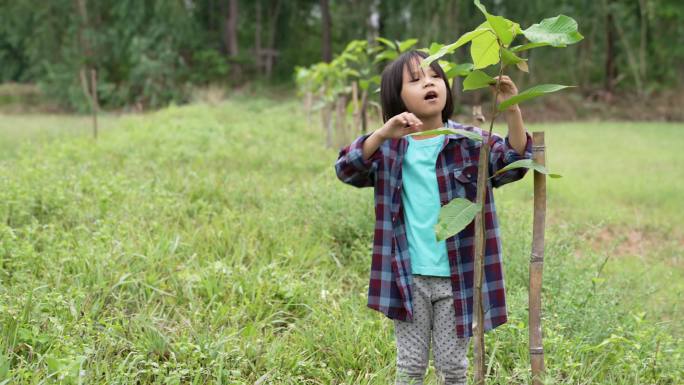 亚洲母女植树植树节环保教育