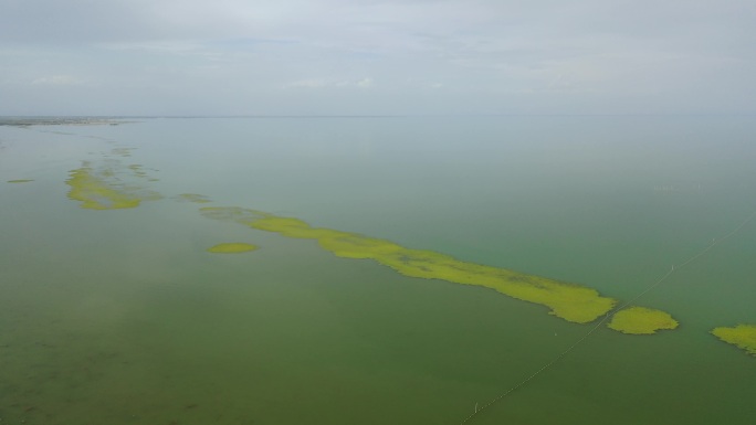 原创 新疆库尔勒博斯腾湖湿地自然风光航拍