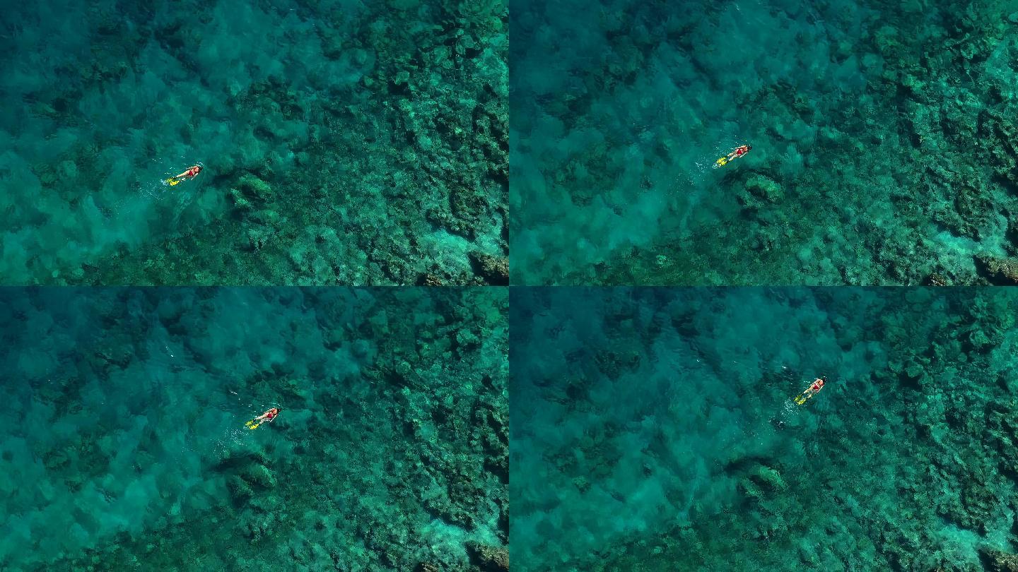 在清澈的绿松石海中浮潜