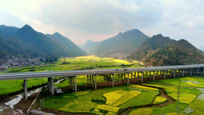 4K 航拍高速公路穿过油菜花田