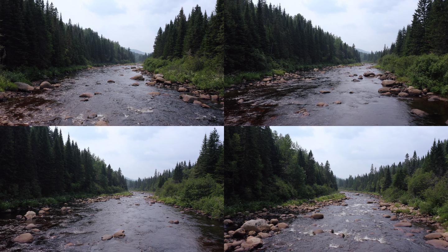 加拿大魁北克省夏季北方天然森林和河流鸟瞰图
