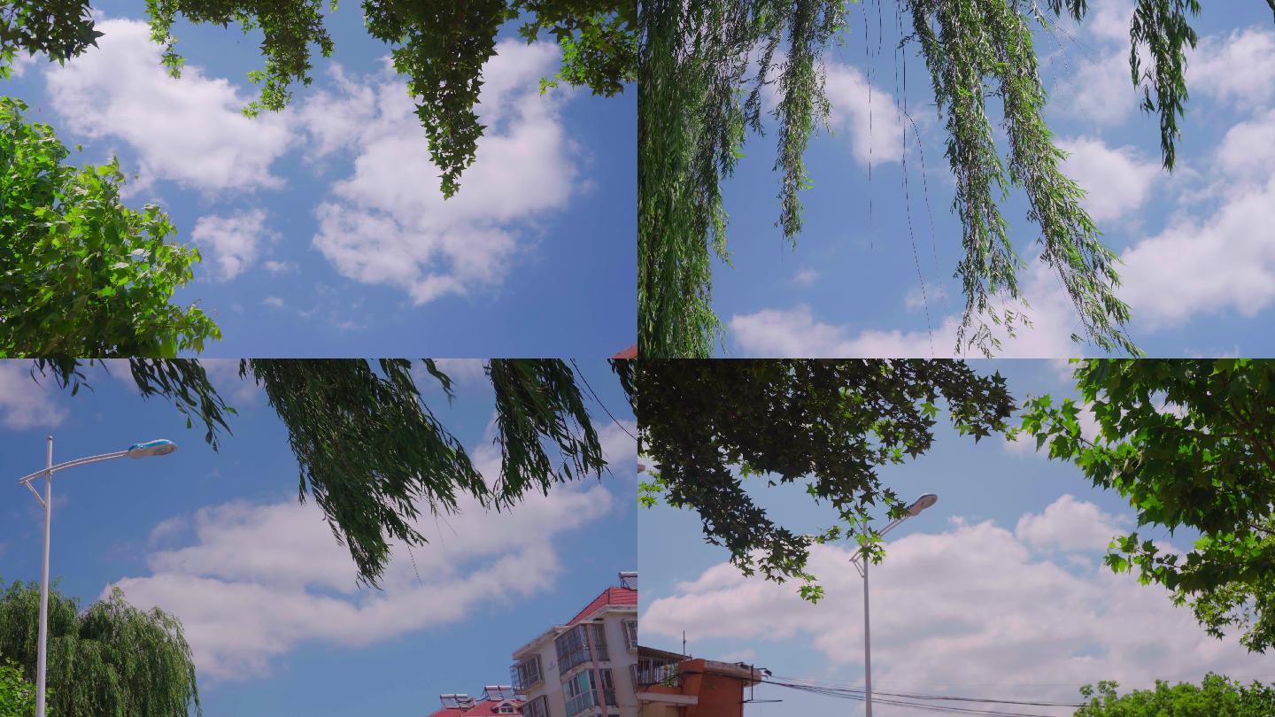 夏天空镜-绿叶阳光-蓝天白云
