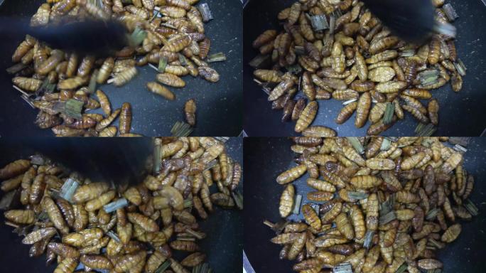 锅里烤椰子虫蛋白质软体动物蚕蛹