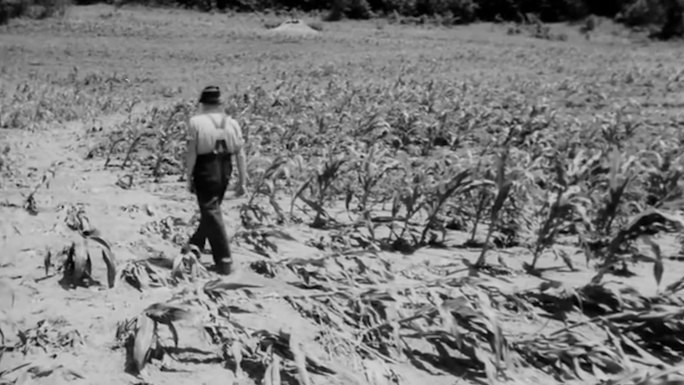 40年代美国农村农业耕地