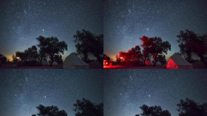 沙漠绿洲树林星空露营银河延时摄影