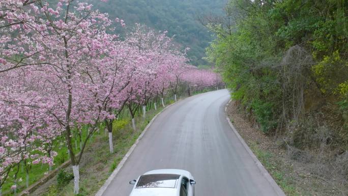 航拍乡村道路