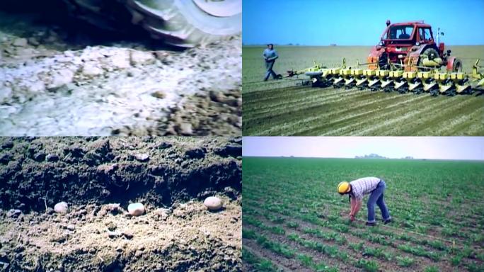 80年代西方欧洲机械化农业种植业农场
