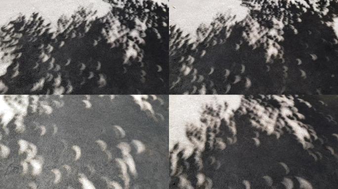日食现象月牙形阴影穿过地板上的树叶