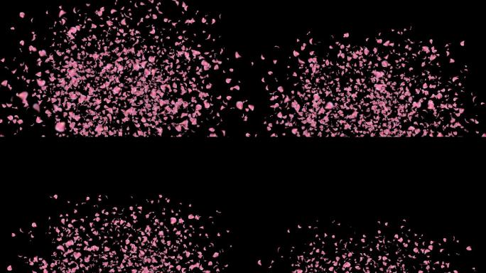 4K粉色古风梅花花瓣炸开转场-带透明通道