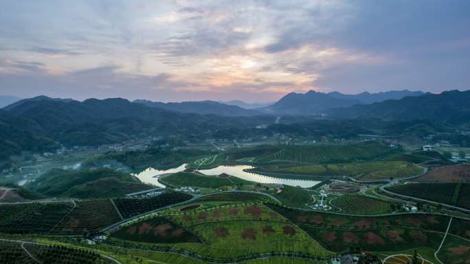 6K湖南益阳安化茶乡花海日落航拍